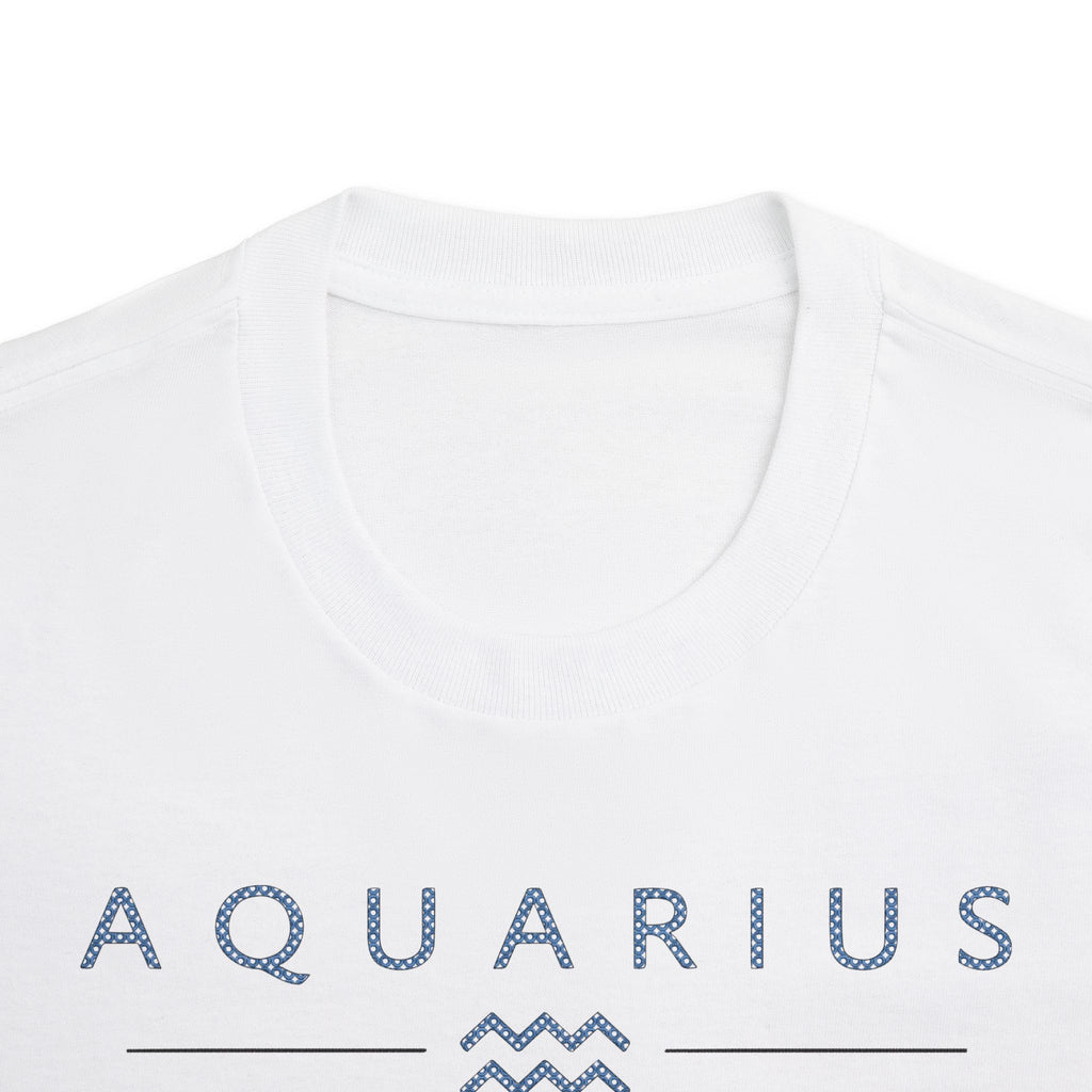 Aquarius Built Different Embroidery Oversized T-Shirt | LE BANCHO