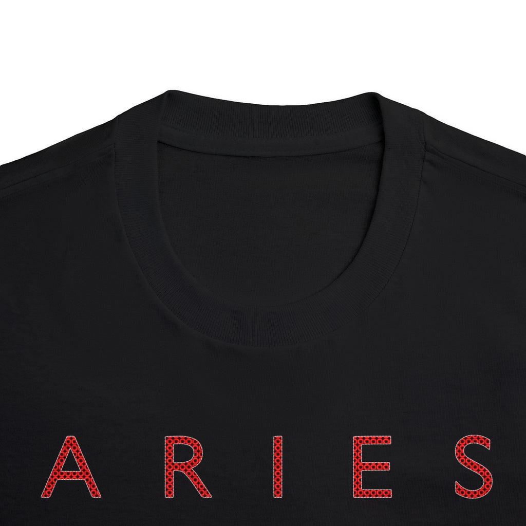Aries Born to Lead Made to Stand Out Embroidery Oversized T-Shirt