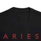 Aries Born to Lead Made to Stand Out Embroidery Oversized T-Shirt