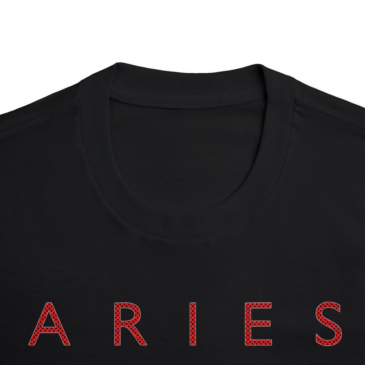 Aries Born to Lead Made to Stand Out Embroidery Oversized T-Shirt
