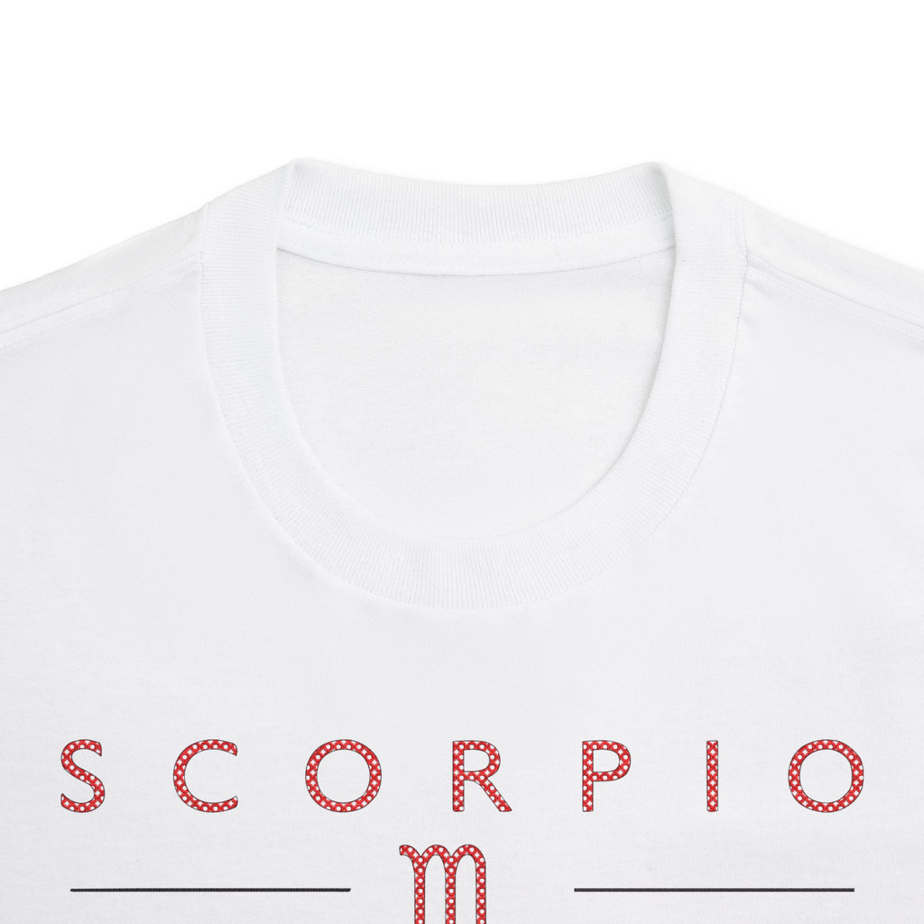 Scorpio Not Everyone Gets Your Energy Embroidery Oversized T-Shirt | LE BANCHO
