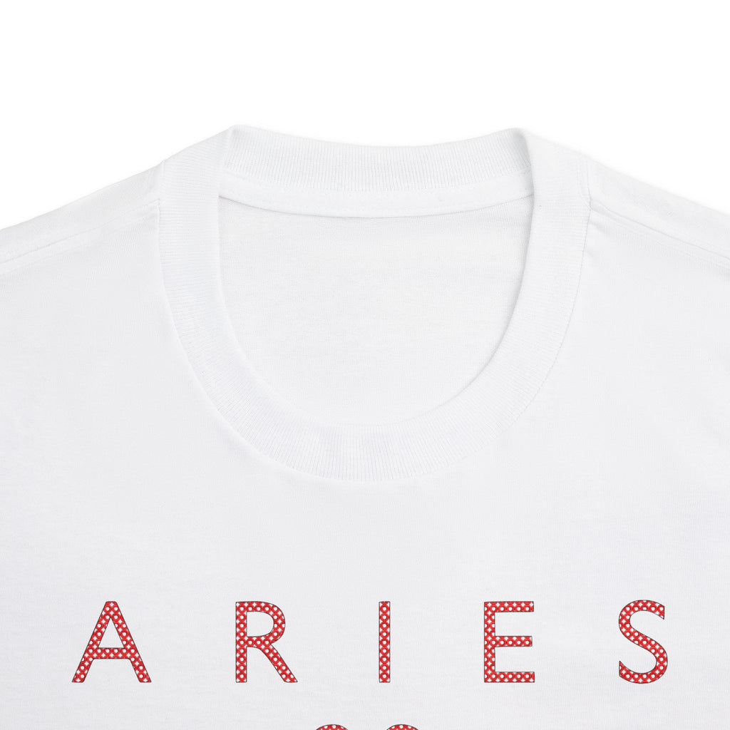 Aries Born to Lead Made to Stand Out Embroidery Oversized T-Shirt