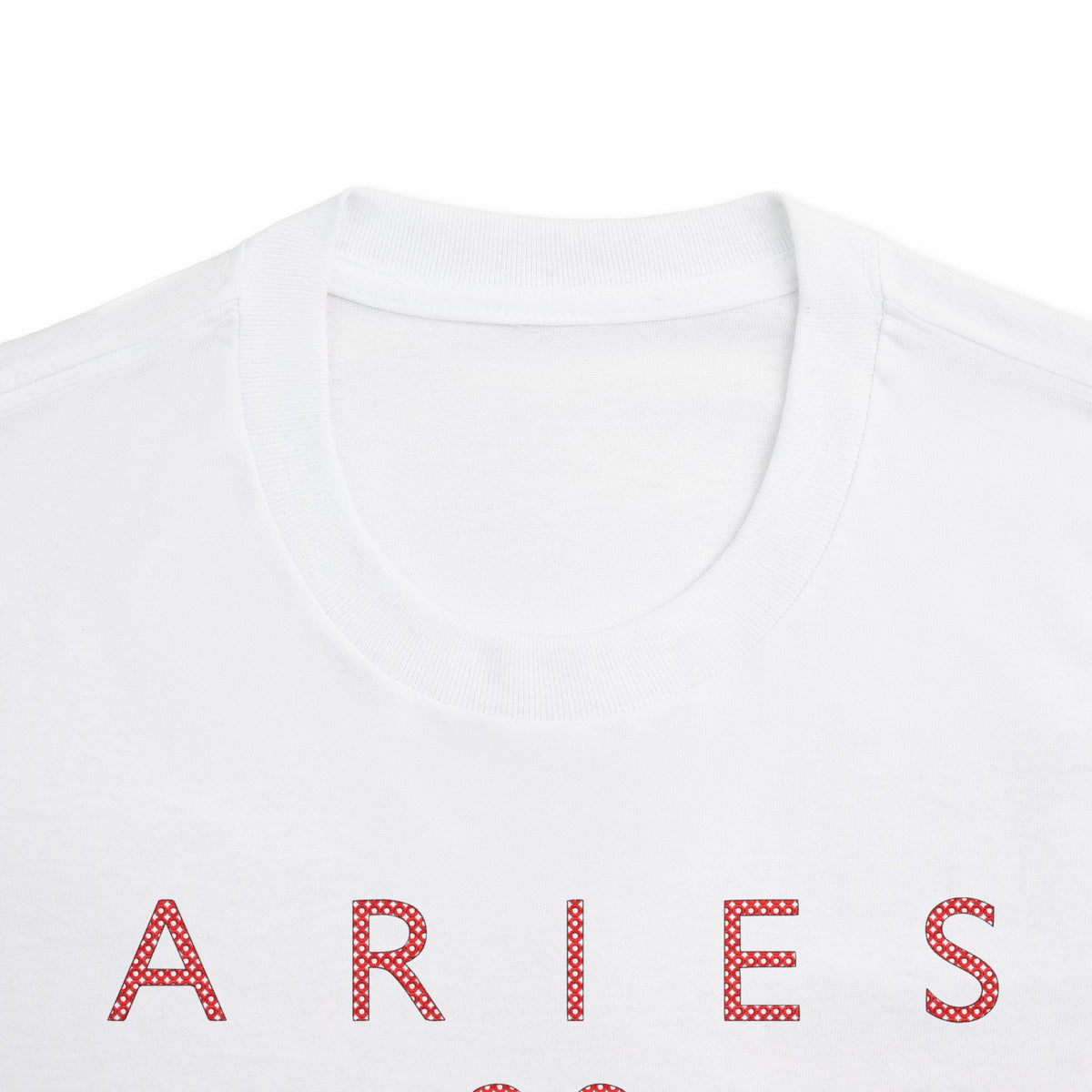 Aries Born to Lead Made to Stand Out Embroidery Oversized T-Shirt