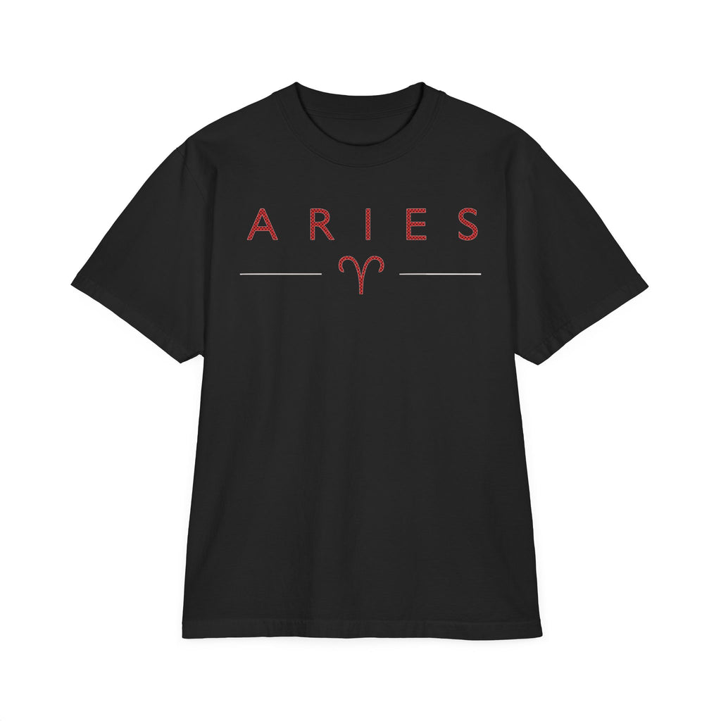 Aries Born to Lead Made to Stand Out Embroidery Oversized T-Shirt